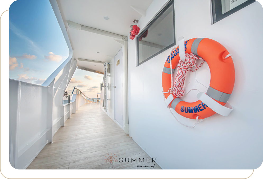 about-summerliveaboard